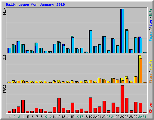 Daily usage for January 2010