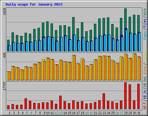 Daily usage for January 2013