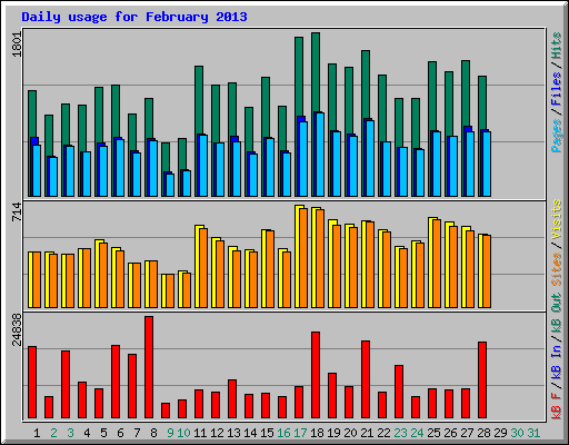 Daily usage for February 2013