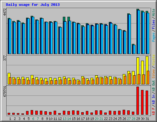 Daily usage for July 2013