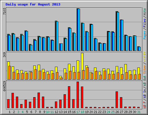 Daily usage for August 2013