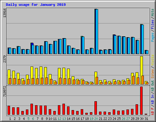 Daily usage for January 2019