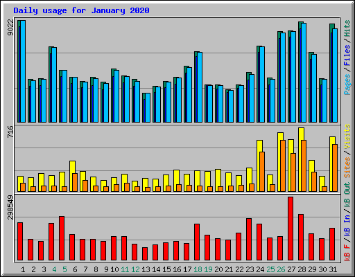 Daily usage for January 2020