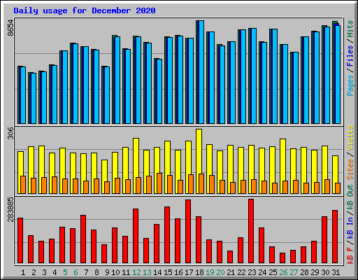 Daily usage for December 2020