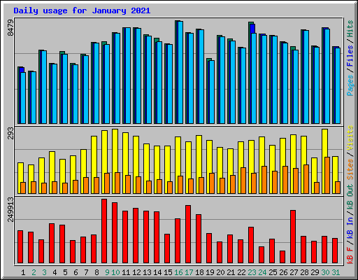 Daily usage for January 2021