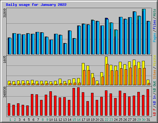 Daily usage for January 2022