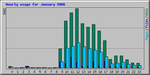 Hourly usage for January 2006