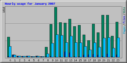 Hourly usage for January 2007