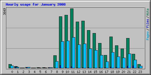 Hourly usage for January 2008