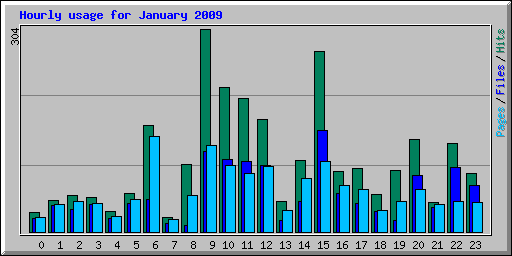 Hourly usage for January 2009