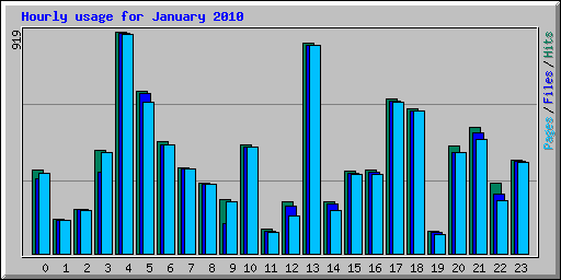 Hourly usage for January 2010