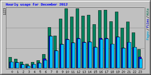 Hourly usage for December 2012