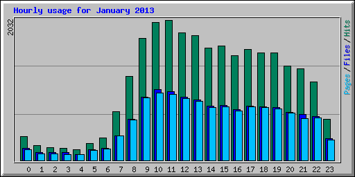 Hourly usage for January 2013