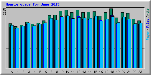 Hourly usage for June 2013