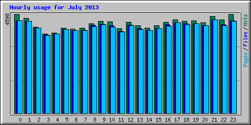 Hourly usage for July 2013