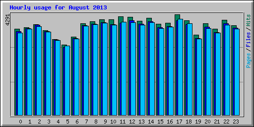 Hourly usage for August 2013