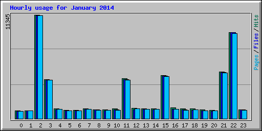 Hourly usage for January 2014