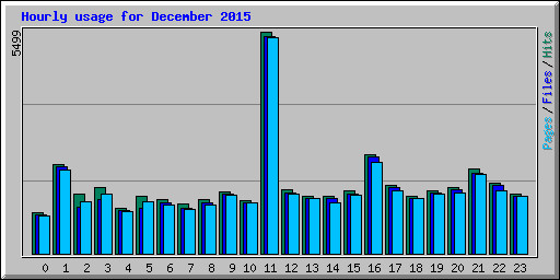 Hourly usage for December 2015