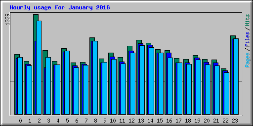 Hourly usage for January 2016