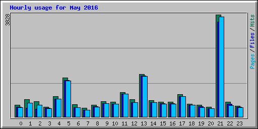 Hourly usage for May 2016