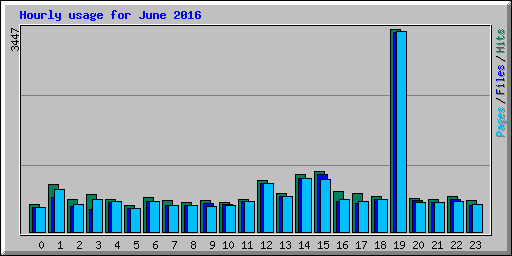 Hourly usage for June 2016