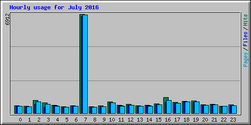 Hourly usage for July 2016