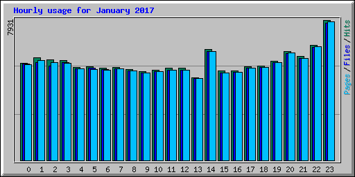 Hourly usage for January 2017