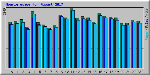 Hourly usage for August 2017