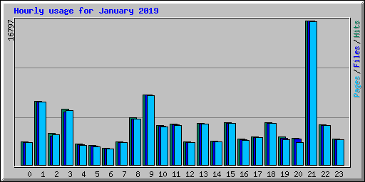 Hourly usage for January 2019