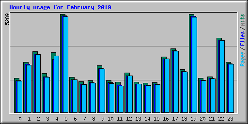 Hourly usage for February 2019