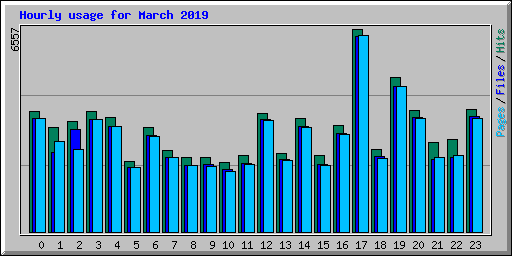 Hourly usage for March 2019