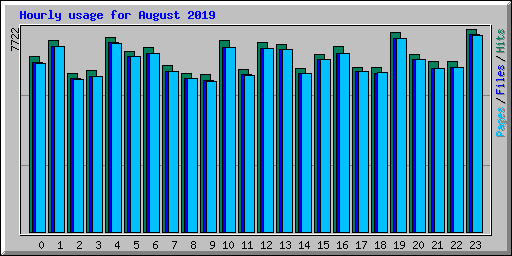 Hourly usage for August 2019