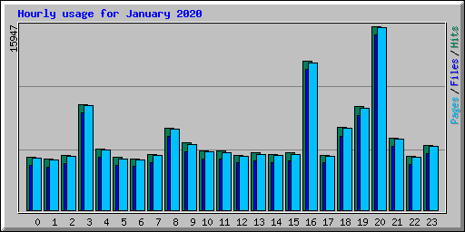 Hourly usage for January 2020