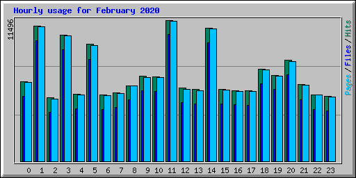 Hourly usage for February 2020