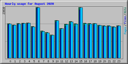 Hourly usage for August 2020