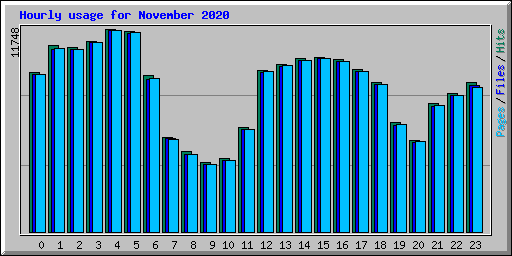 Hourly usage for November 2020