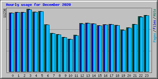 Hourly usage for December 2020