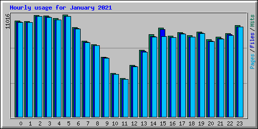 Hourly usage for January 2021