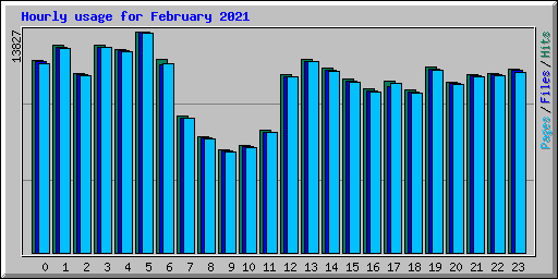 Hourly usage for February 2021