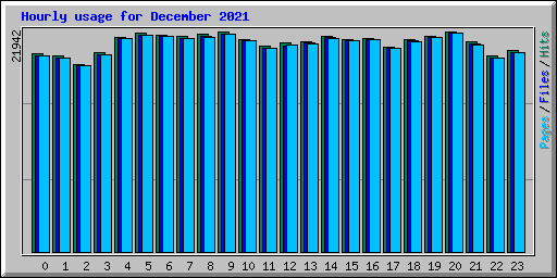 Hourly usage for December 2021