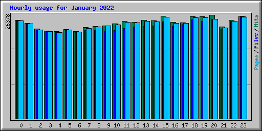 Hourly usage for January 2022