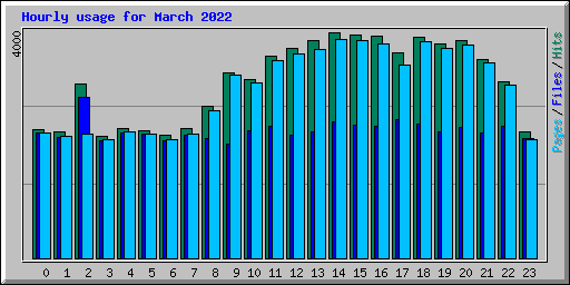 Hourly usage for March 2022