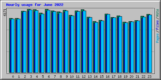 Hourly usage for June 2022