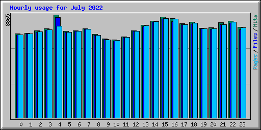 Hourly usage for July 2022