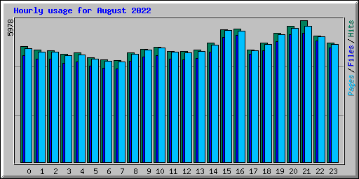 Hourly usage for August 2022